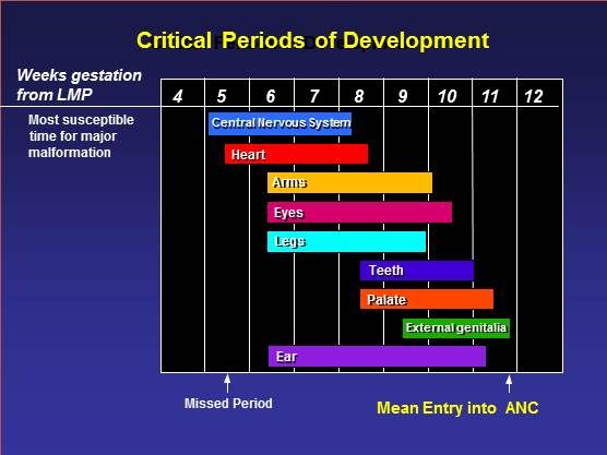 Preconception Care