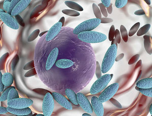 Practical approach to recurrent vulvovaginitis