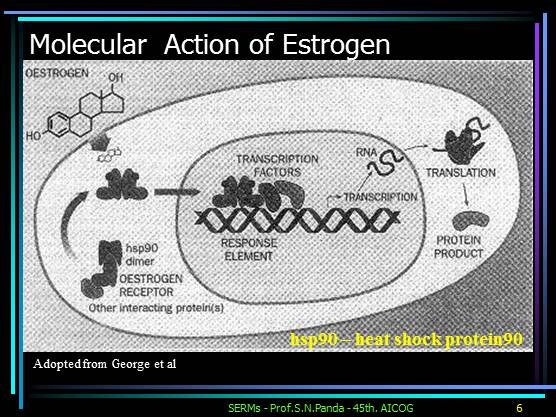 Selective Estrogen Receptor Modulators