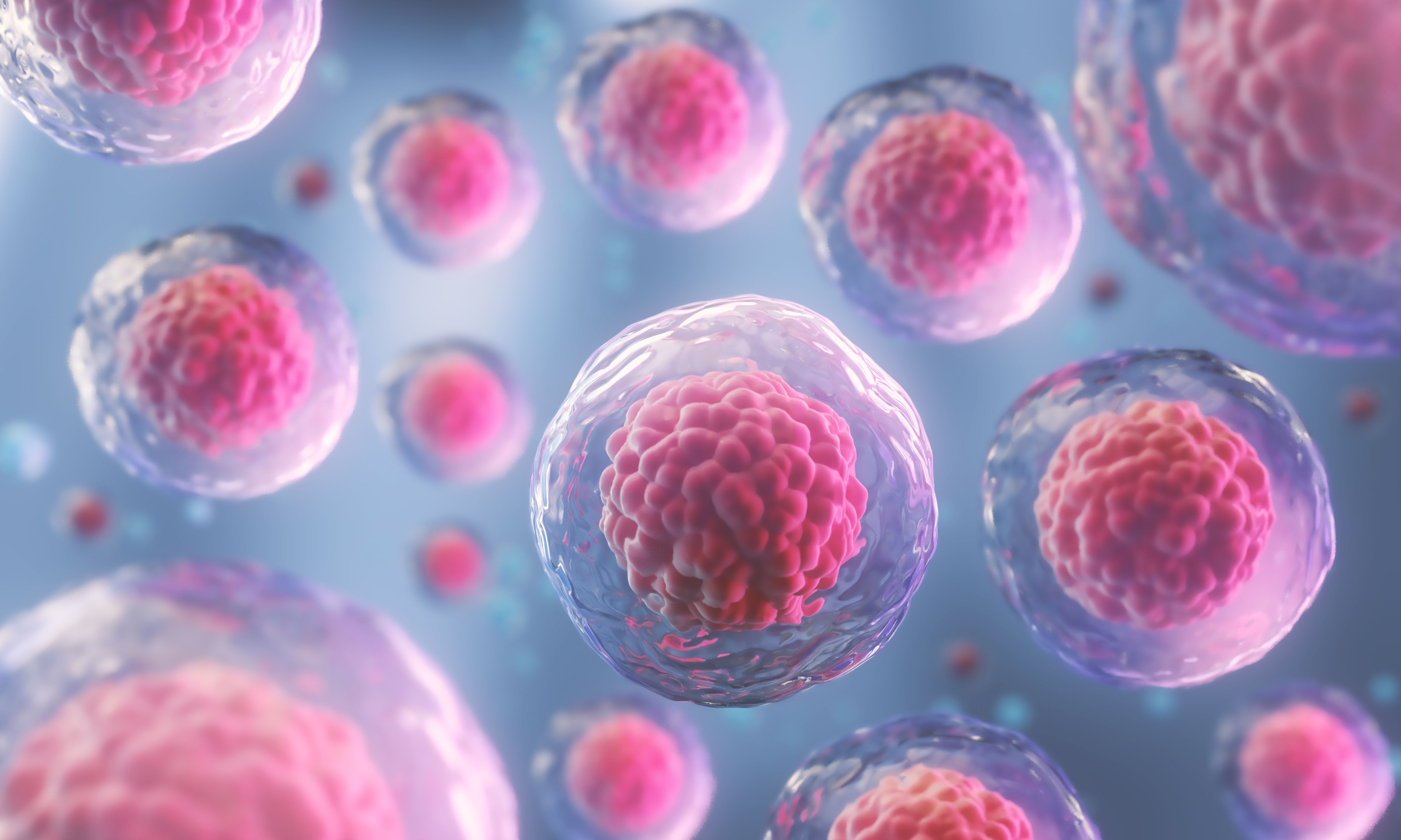 Stem cell therapy found to boost fertility in women with ovarian failure Stem cell therapy found to boost fertility in women with ovarian failure