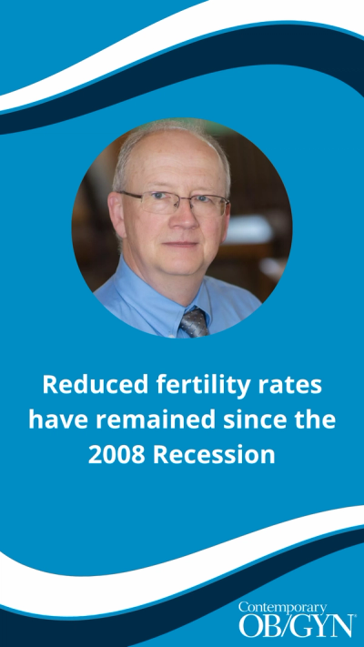 Reduced fertility rates have remained since the 2008 Recession