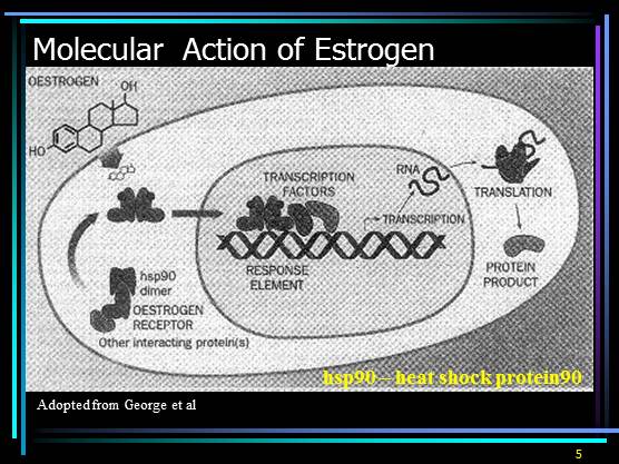 Selective Estrogen Receptor Modulators (SERMS)