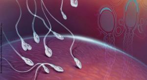 Reproductive risks of advanced paternal age