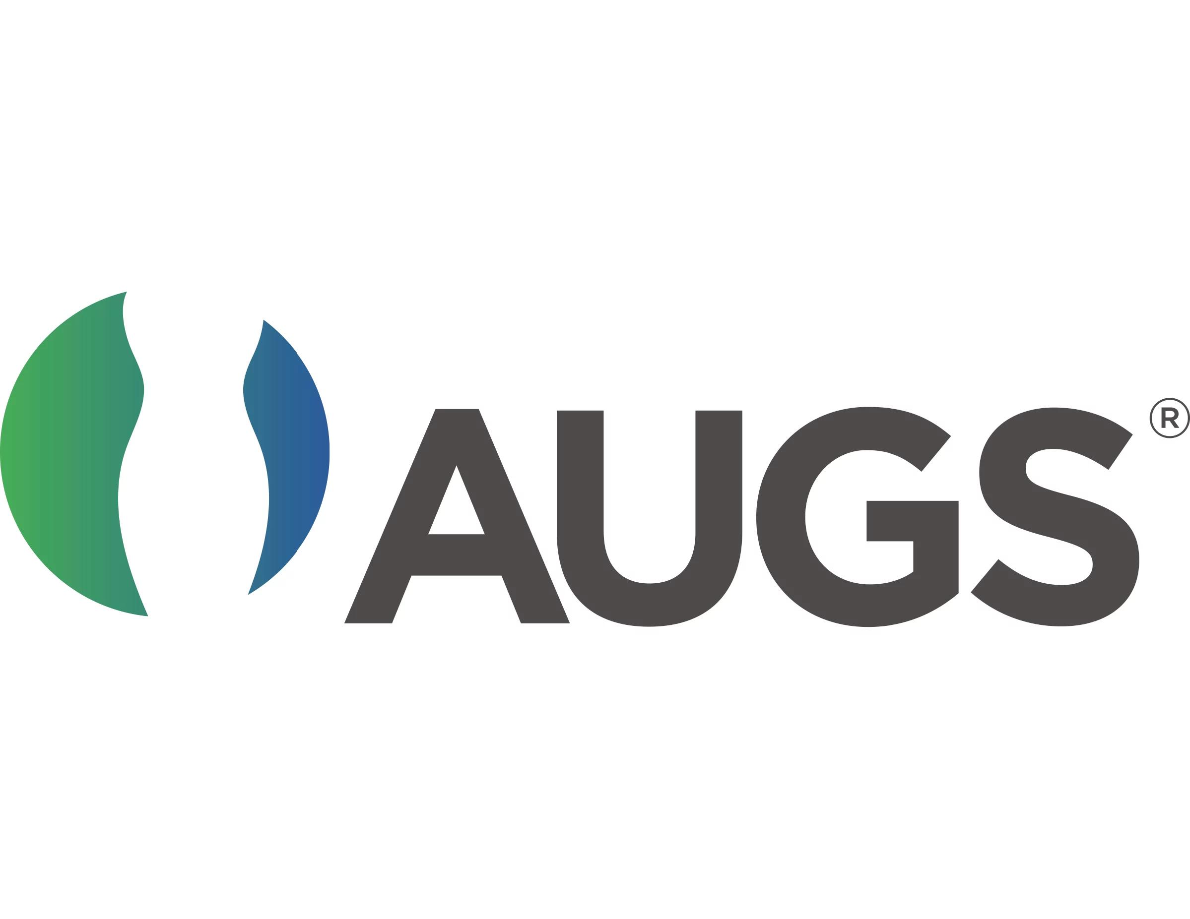 AUGS-IUGA executive summary: Joint report on terminology for