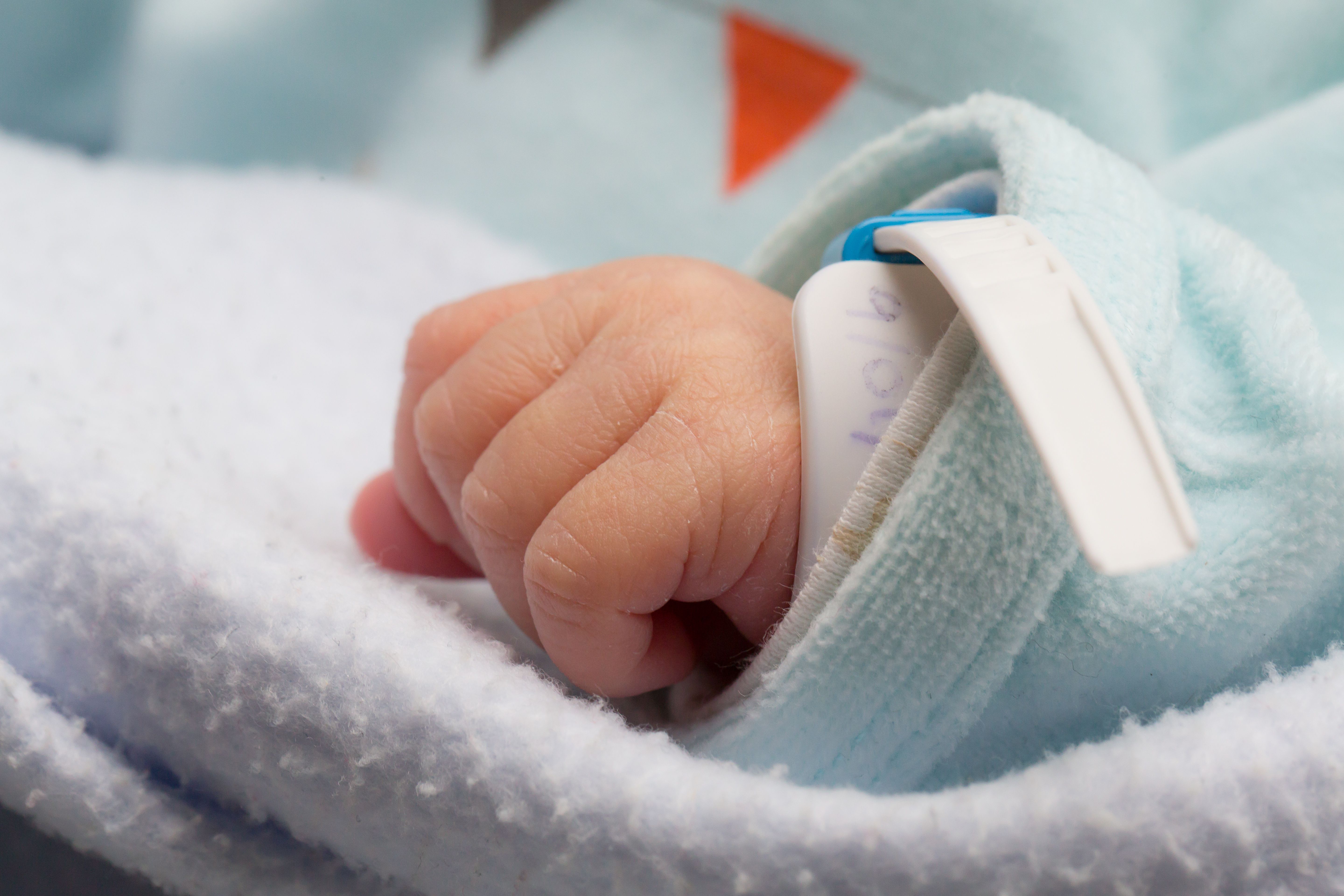 Inflammation linked to preterm birth in developing regions | Image Credit: © Alessandro Grandini - © Alessandro Grandini - stock.adobe.com.