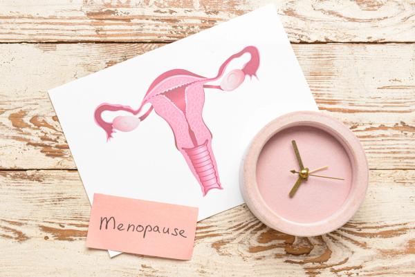 Earlier menopause associated with less favorable functional, structural neurological outcomes | image credit: stock.adobe.com