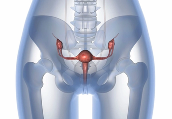 endometrial cancer
