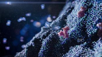 Therapy for candida albicans developed | Image Credit: © Yuriy - © Yuriy - stock.adobe.com.