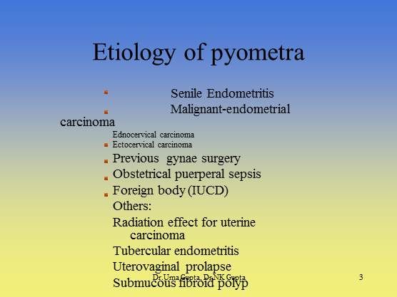 Pyometra: Diagnosis and Management