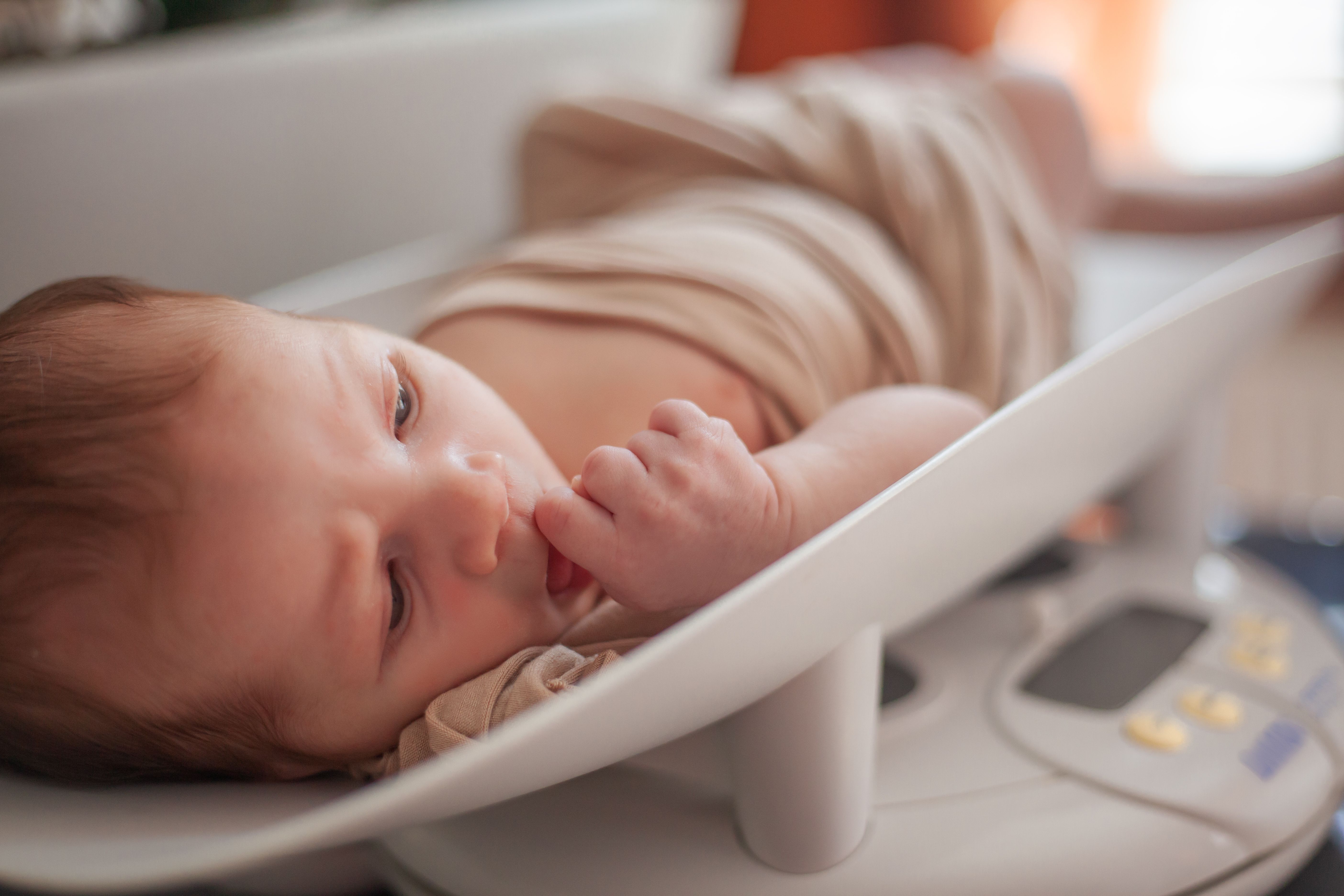 First 1000 Days Program Shows Improvement In Newborn Weight Status First 1000 days program shows improvement in newborn weight status