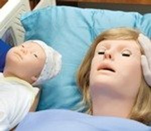 The Mother of All Birth Simulators?