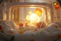 PreTRM blood test paired with targeted interventions improves neonatal outcomes in low-risk pregnancies | Image Credit: © nabila - © nabila - stock.adobe.com.