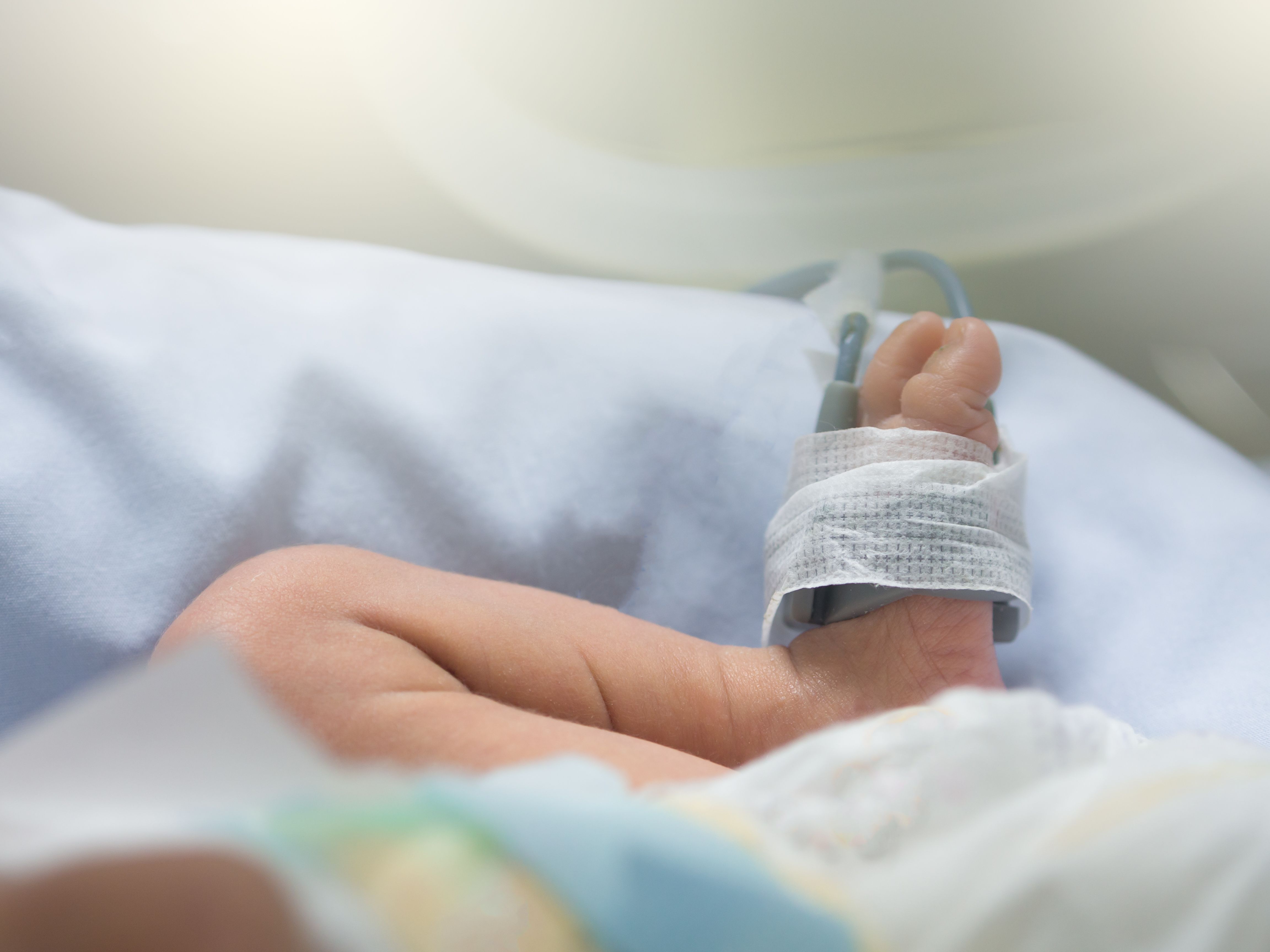 Prenatal mycotoxin exposure linked to lower birthweight Prenatal mycotoxin exposure linked to lower birthweight