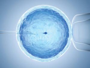 Not just abortion: How the demise of Roe v Wade may impact fertility care