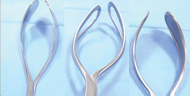 Anatomy of the forceps