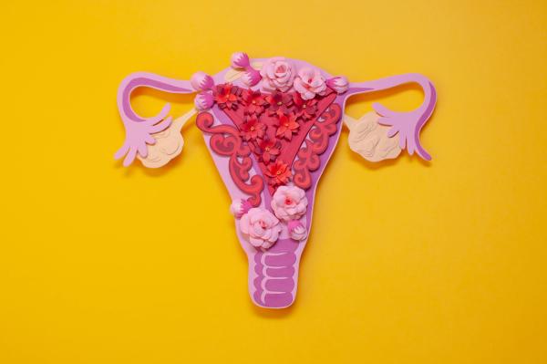 Vaginal and gut microbiome dysbiosis linked to endometriosis | Image Credit: © Alena - © Alena - stock.adobe.com.