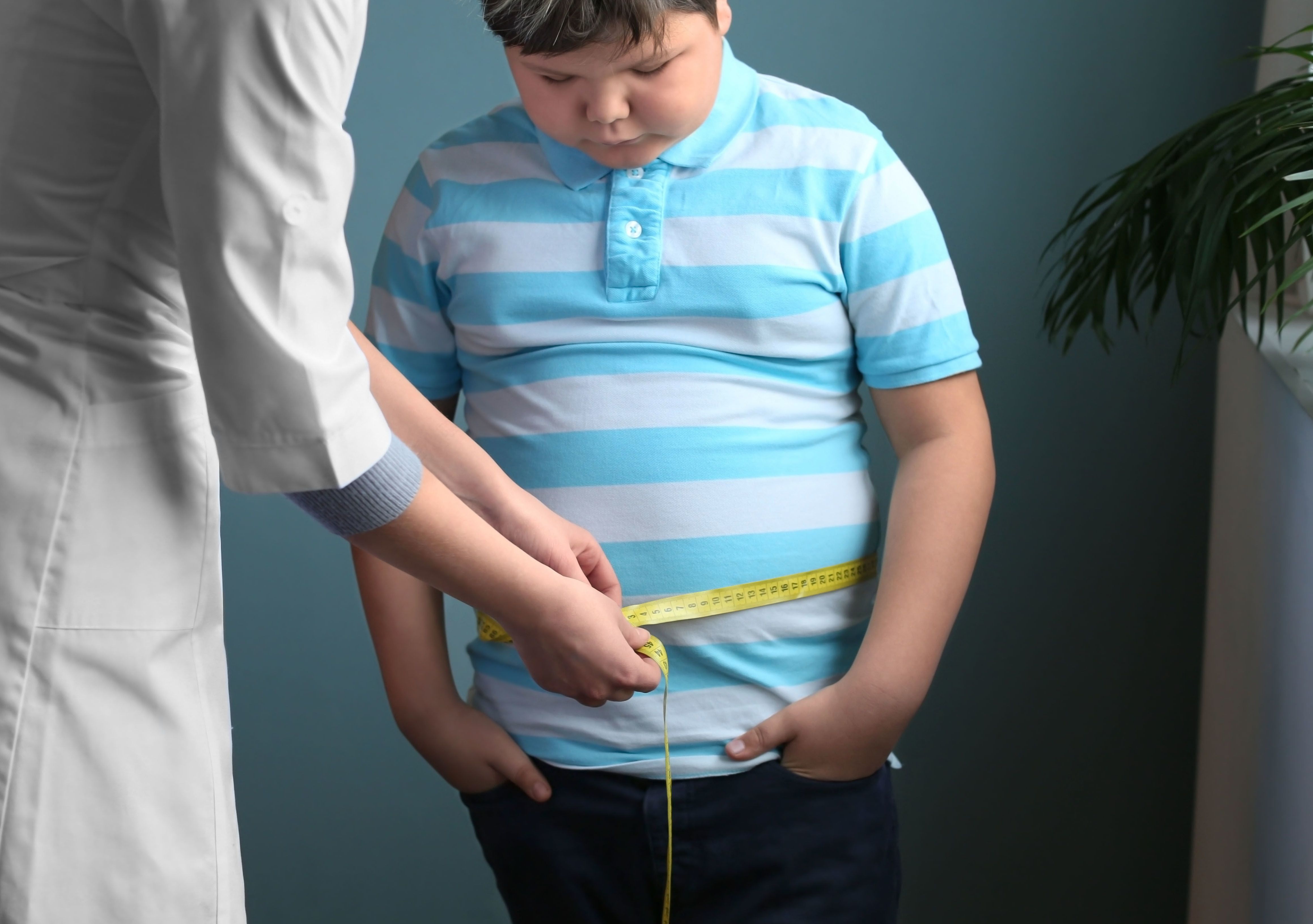 Prenatal air pollution exposure linked to higher childhood obesity risk Prenatal air pollution exposure linked to higher childhood obesity risk