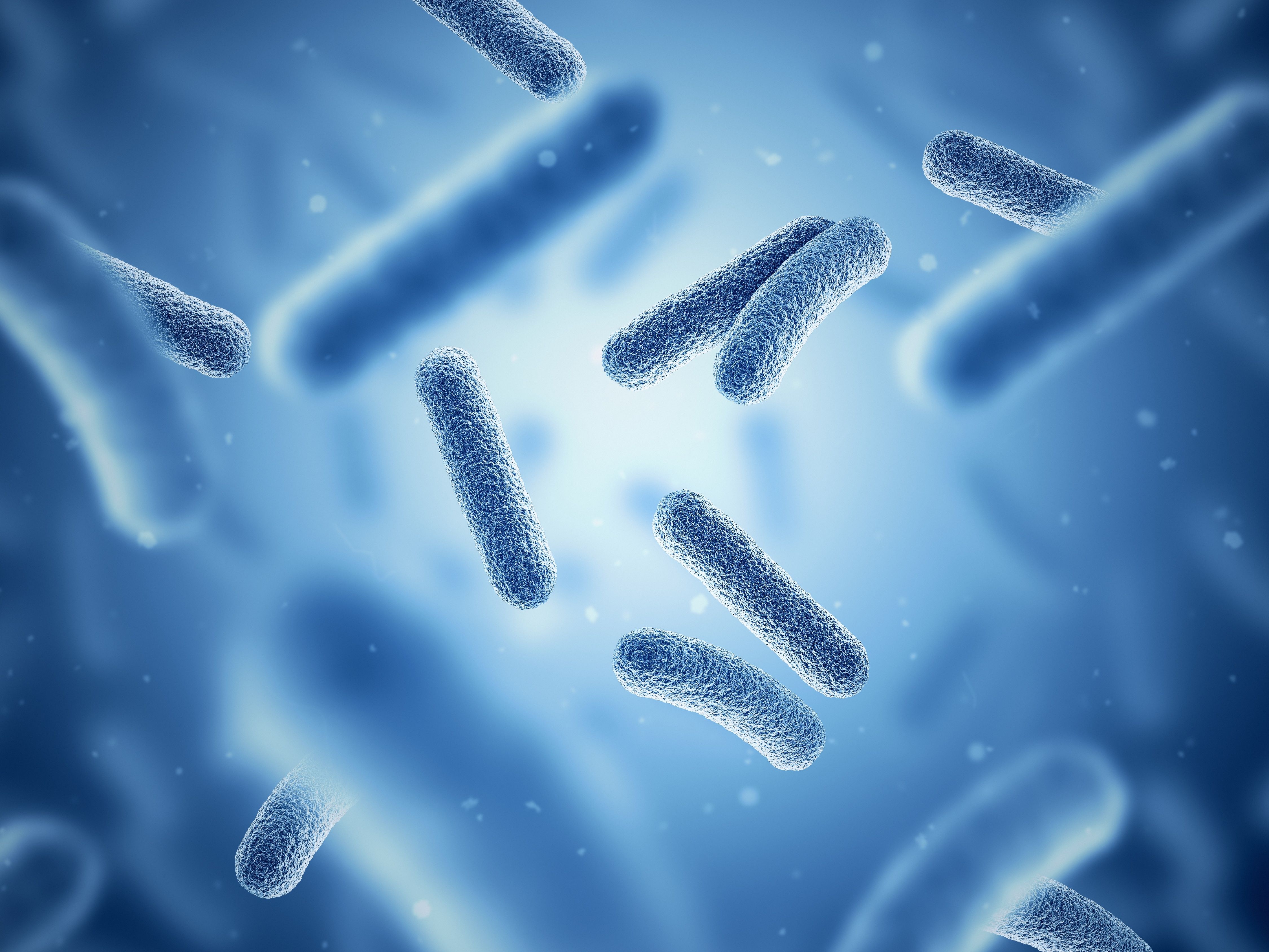 The role of microbiome in female fertility and reproductive health | Image Credit: © MP - © MP - stock.adobe.com.