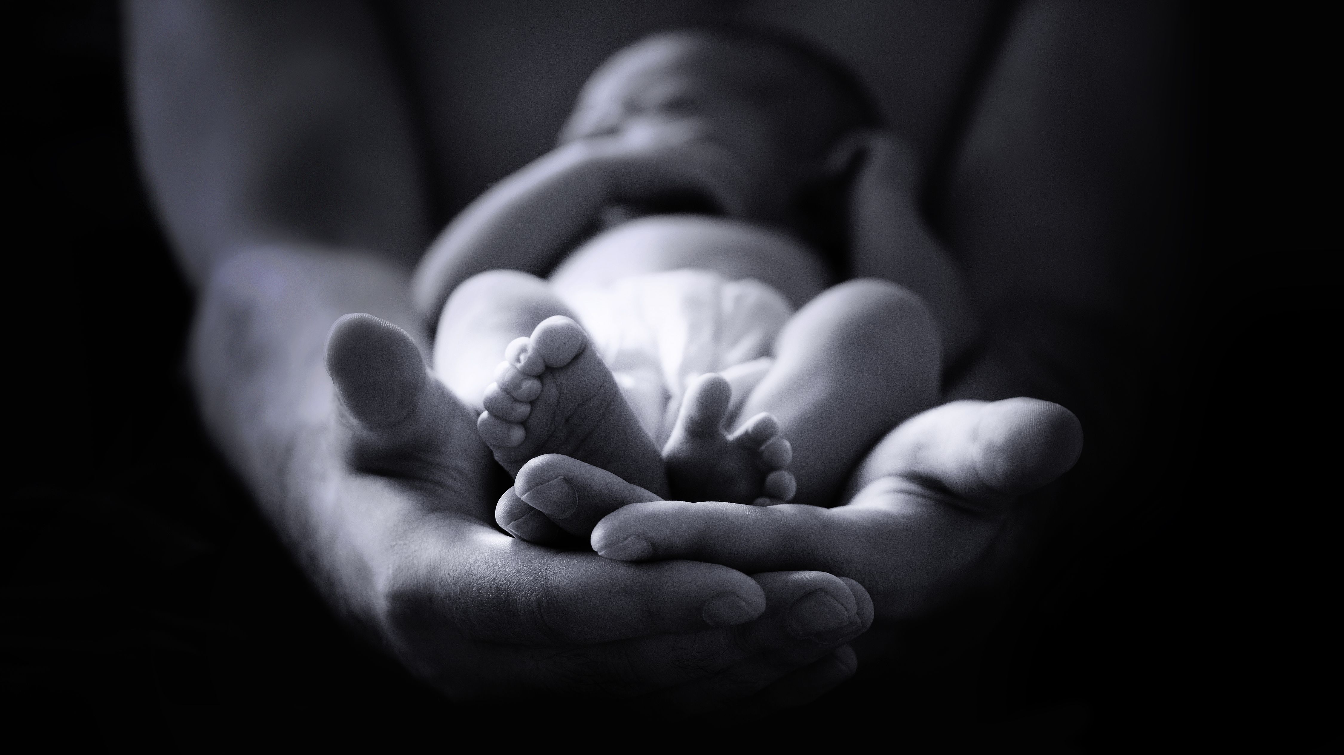 Study reports rising infant mortality with abortion bans | Image Credit: © BazziBa - © BazziBa - stock.adobe.com.
