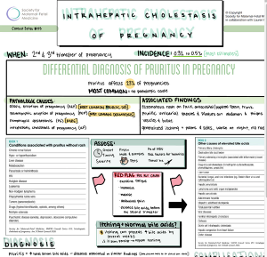 SMFM Visual Summary: Intrahepatic Cholestasis of Pregnancy