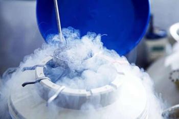 Elective egg freezing on the rise, but few patients return to use preserved oocytes | Image Credit: © Getty images