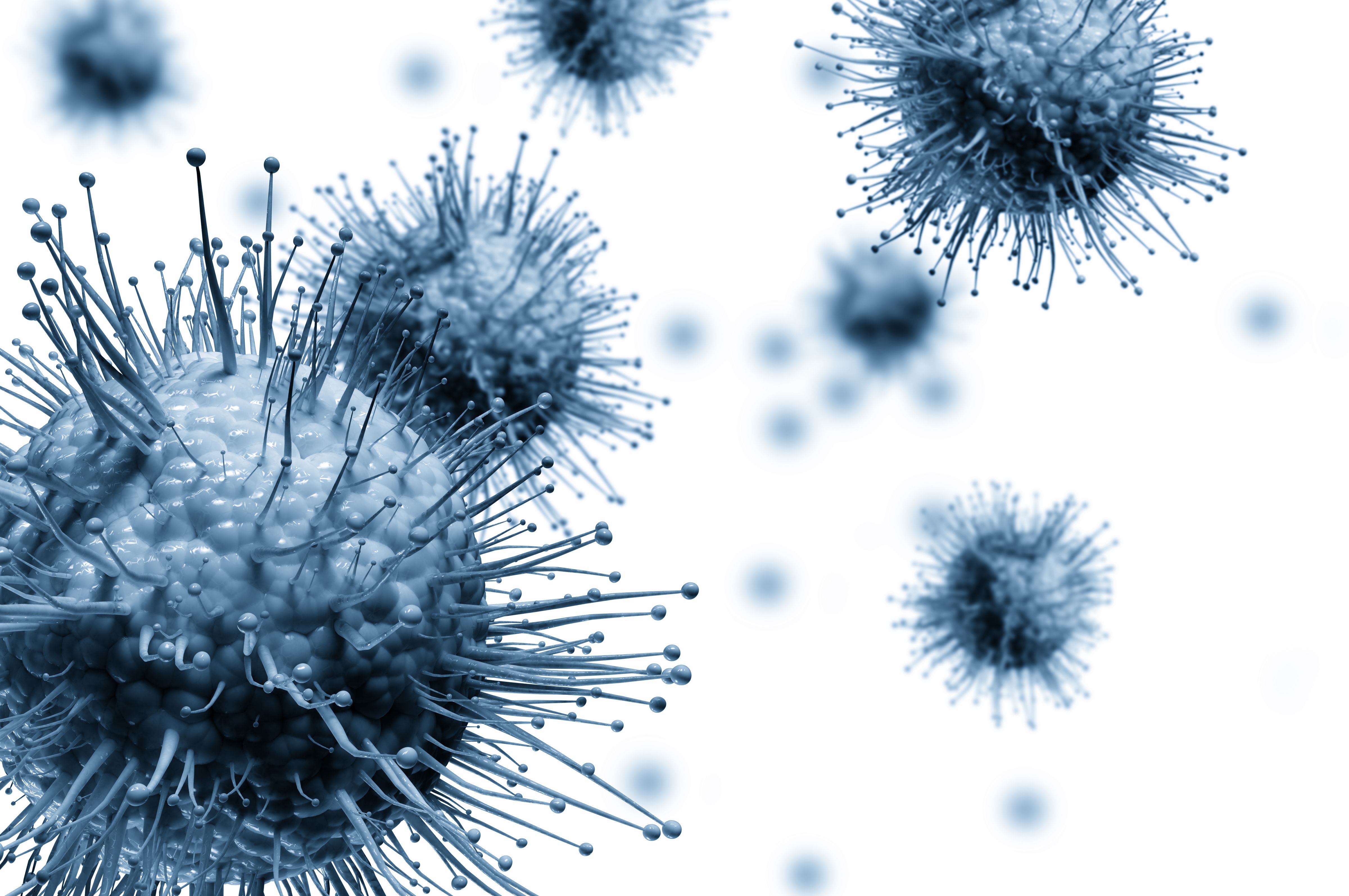Avian influenza during pregnancy linked to high mortality rates | Image Credit: © Jezper - © Jezper - stock.adobe.com.