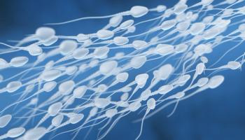 sperm