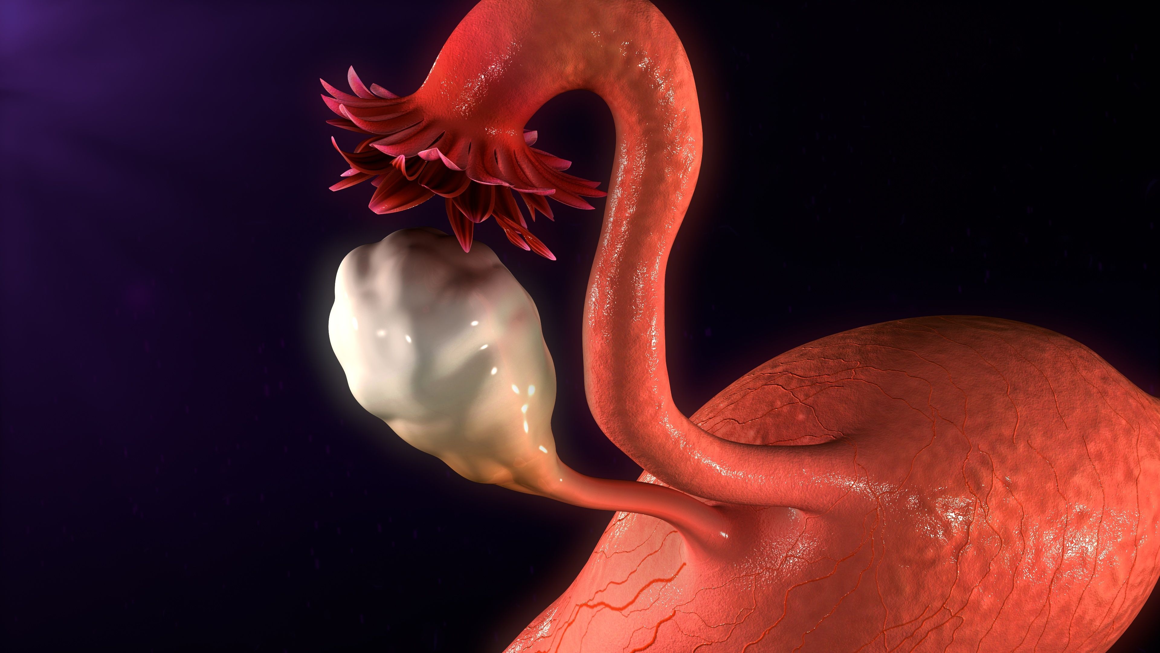 Bewertung der aktuellen Richtlinien zur Behandlung von Uterusmyomen