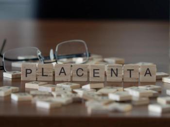 ‘Serotonin shield’: The placenta’s critical role in the health of babies |  Image Credit: © lexiconimages - © lexiconimages - stock.adobe.com.