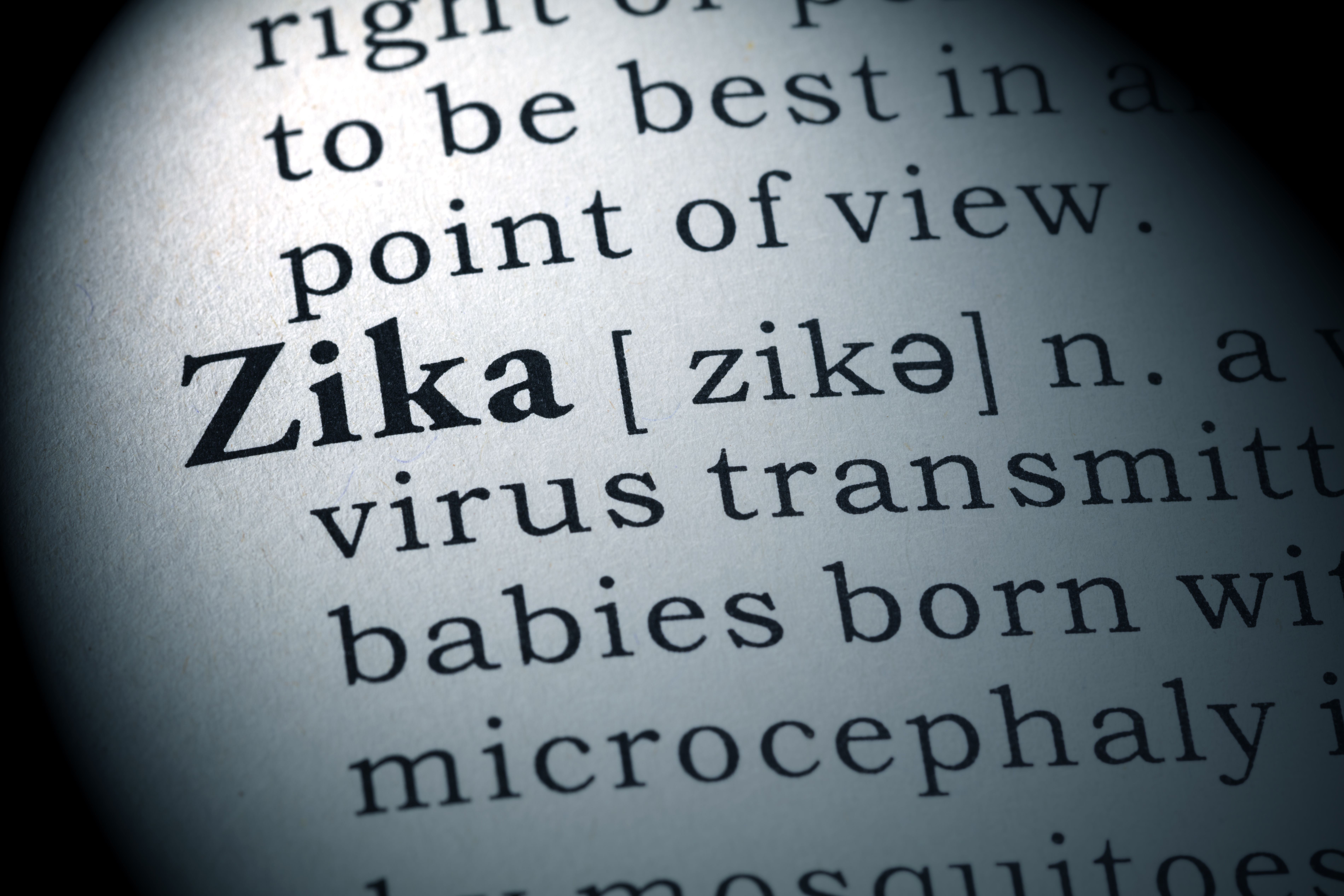 Zika definition
