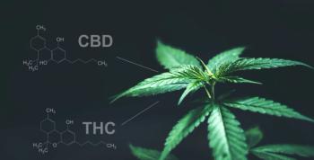 Cannabidiol and THC show synergistic anti-cancer effects in ovarian cancer cell models | Image Credit: © anankkml - stock.adobe.com.