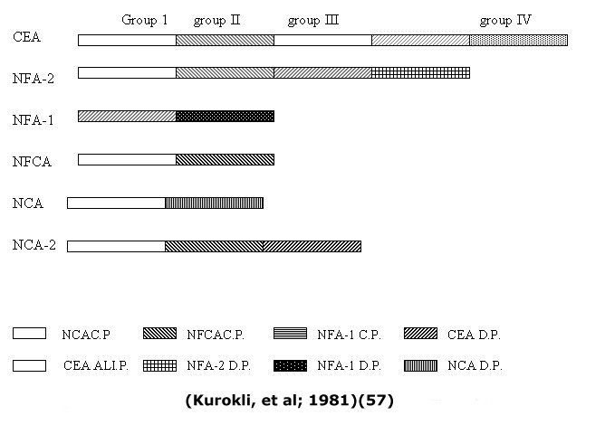 Cea Classification Carcinoembryonic Antigen (CEA) In Cervical Neoplasia (Review)
