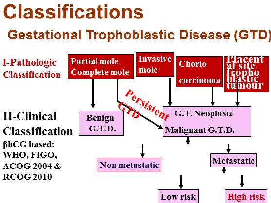 Gestational Trophoblastic Disease (GTD) Part I: Molar Pregnancy