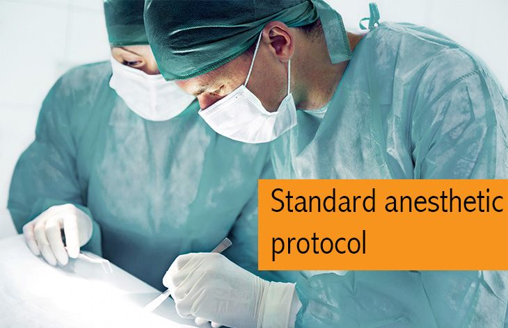 Standard anesthetic protocol