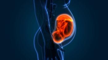 Womb