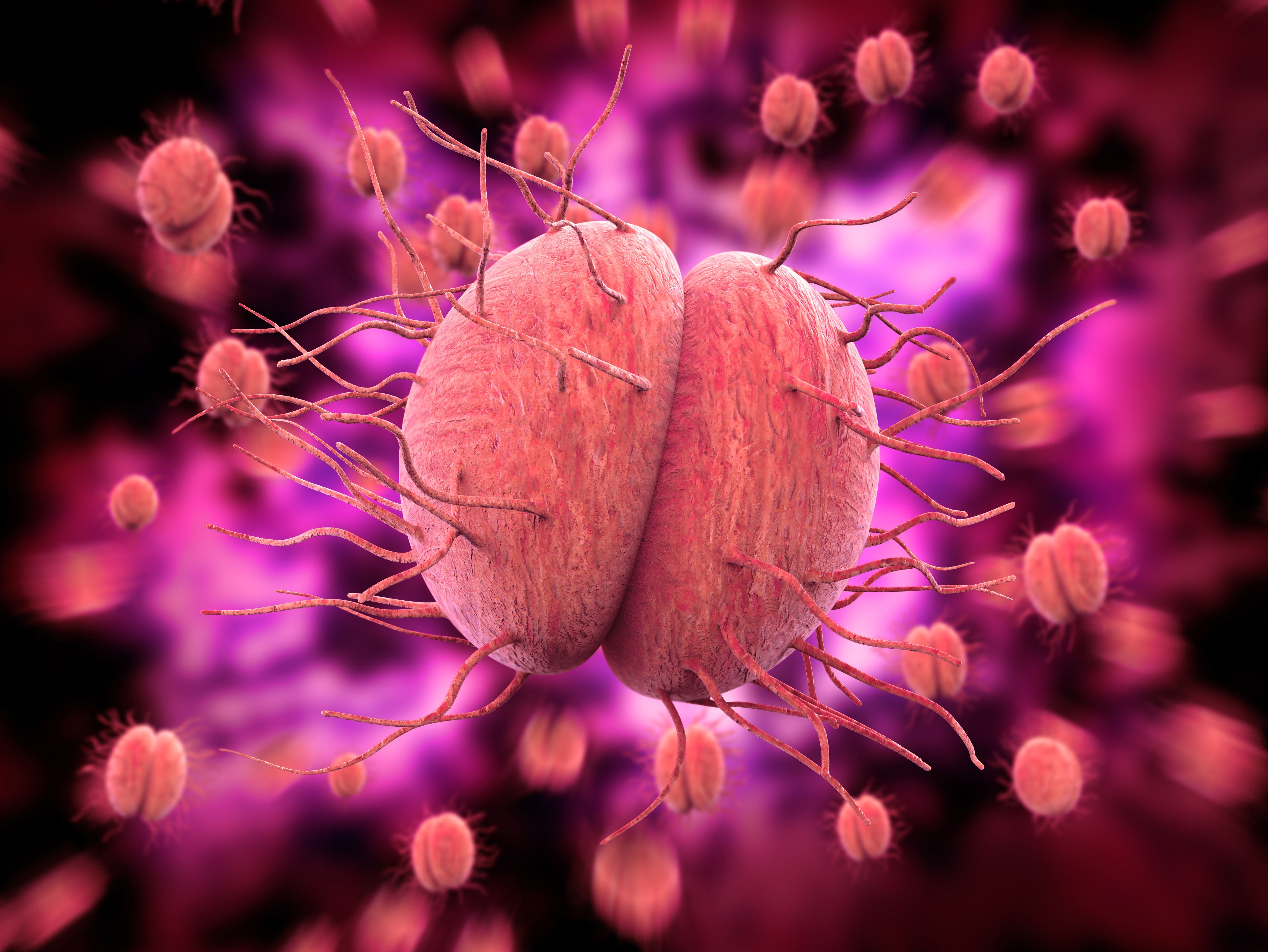 Zoliflodacin demonstrated non-inferiority in adults and adolescents with gonorrhea | Image Credit: ©Giovanni Cancemi - stock.adobe.com.