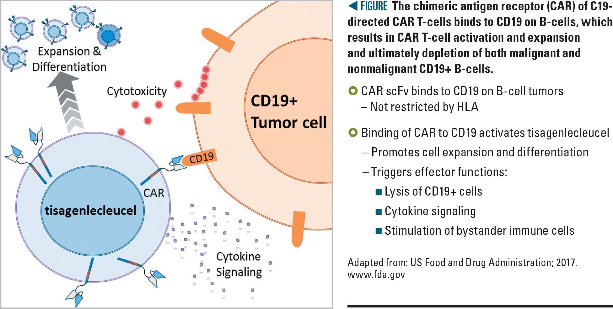 CAR T-cell Therapy In Pediatrics