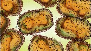 HHS declares monkeypox a public health emergency in U.S.