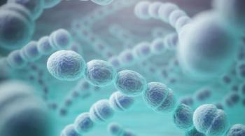 image of streptococcus