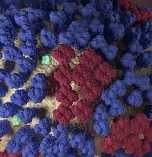 Opportunistic Vaccination: A Flu Shot For Big Sister, Too