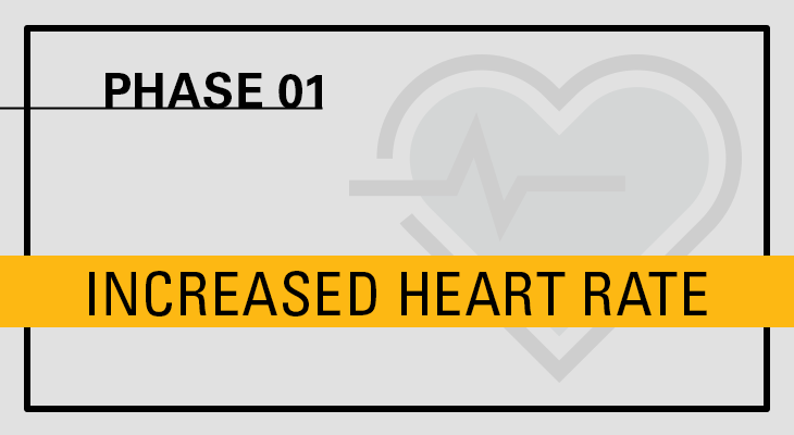 Increased heart rate