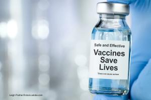 Looking at how many lives have been saved by the COVID-19 vaccine in the United States