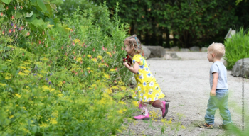 Children engaging in play at Gaffield Children's Garden