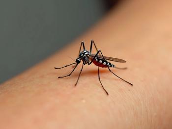 Six-month IXCHIQ chikungunya vaccine data demonstrates sustained antibody levels | Image Credit: © Monir - © Monir - stock.adobe.com.