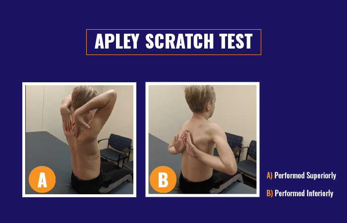 How To Perform A Physical Exam Of Shoulder Pain In An Athlete