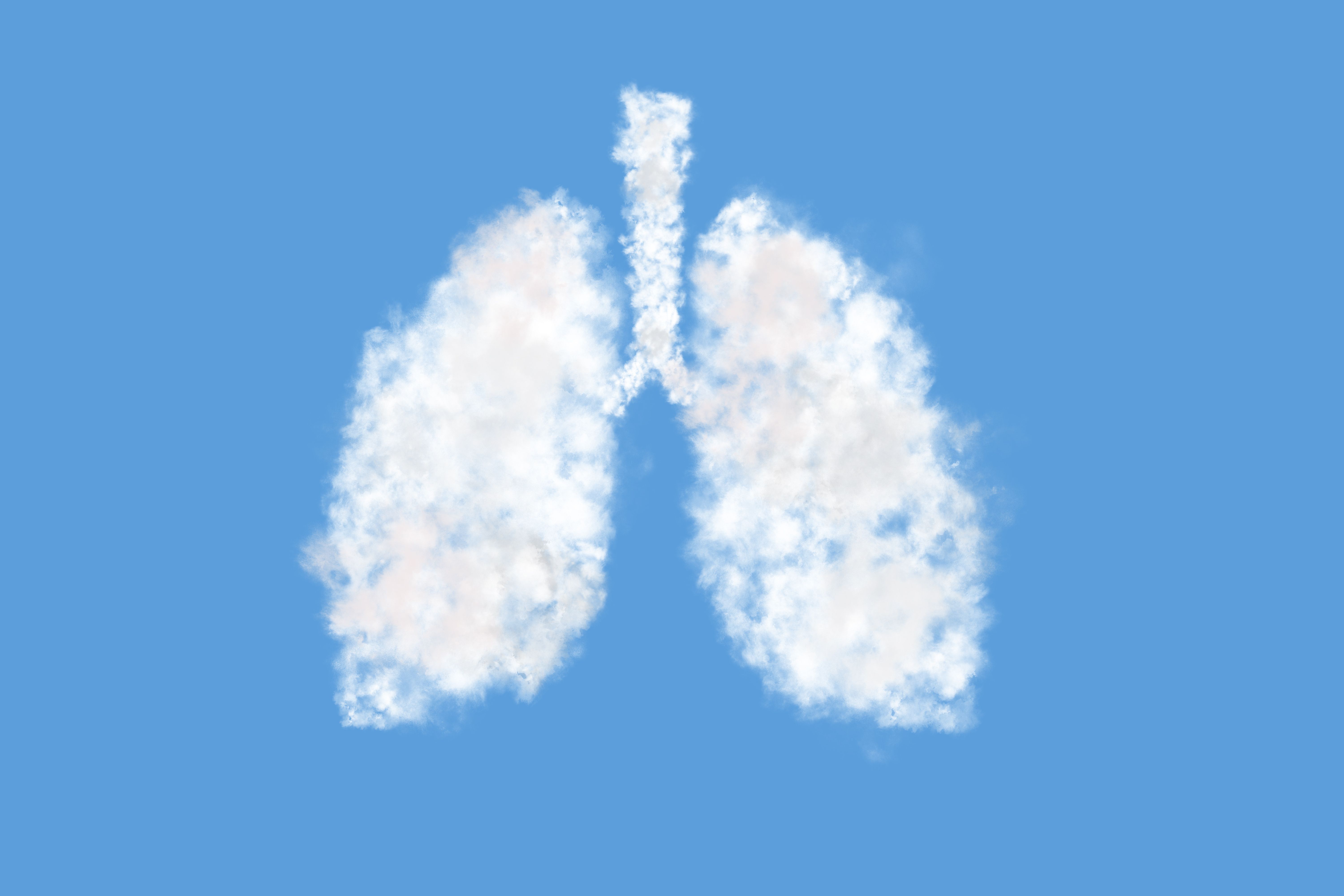 Pediatric lung transplants decline as case complexity intensifies | Image Credit: © lllonajalll - © lllonajalll - stock.adobe.com.