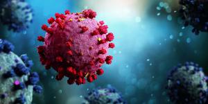 Ensitrelvir now available in US for COVID-19 postexposure prophylaxis | Image Credit: © Production Perig - stock.adobe.com
