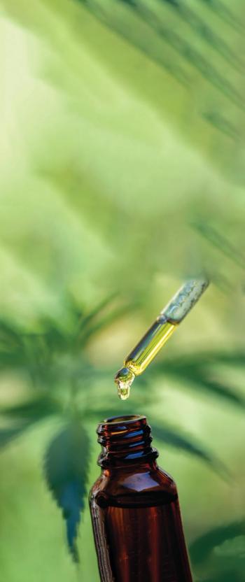 Cannais and the pediatric patient | Image Credit: © AdobeStock_311577091 - © AdobeStock_311577091 - stock.adobe.com.