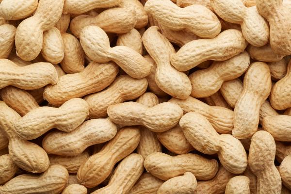 Parental confusion may hinder early peanut introduction for allergy prevention | Image Credit: © andersphoto - stock.adobe.com.