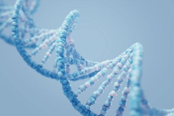 Long-term outcomes of lentiviral gene therapy for ADA-deficient severe combined immunodeficiency | Image Credit: © amesteohart - stock.adobe.com.